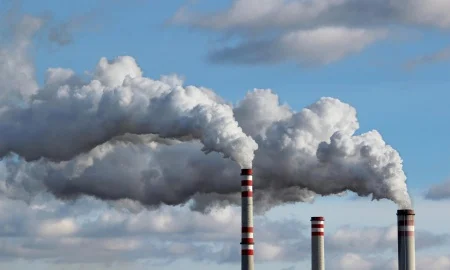 Gemeinsame gasförmige Schadstoffe und ihre Behandlung